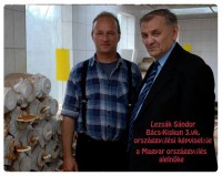 /album/rolunk-irtak-nalunk-jartak-/a33-jpg/