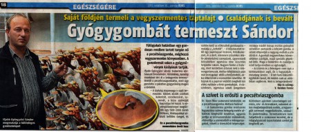 Bors Magazin 2013. október